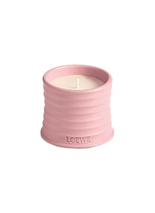 Main View - Click To Enlarge - LOEWE - Ivy standard candle