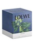 Detail View - Click To Enlarge - LOEWE - Ivy medium candle