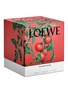 Detail View - Click To Enlarge - LOEWE - Tomato Leaves Large Candle