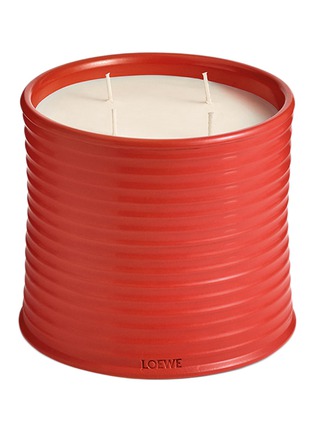 Main View - Click To Enlarge - LOEWE - Tomato Leaves Large Candle