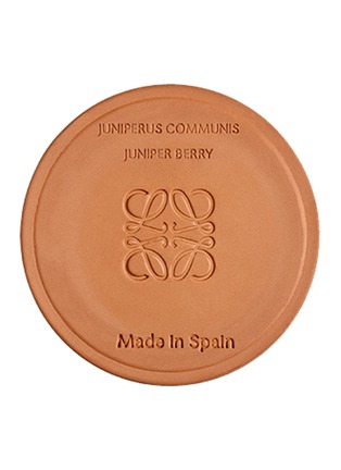 Detail View - Click To Enlarge - LOEWE - Juniper Berry Standard Candle