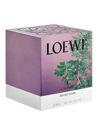 Detail View - Click To Enlarge - LOEWE - Coriander large candle