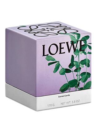 Detail View - Click To Enlarge - LOEWE - Liquorice standard candle