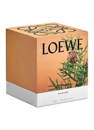 Detail View - Click To Enlarge - LOEWE - Cypress Balls medium candle
