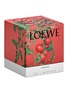Detail View - Click To Enlarge - LOEWE - Tomato Leaves standard candle