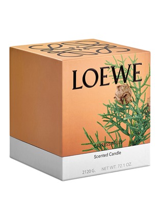 Detail View - Click To Enlarge - LOEWE - Cypress Balls Large Candle