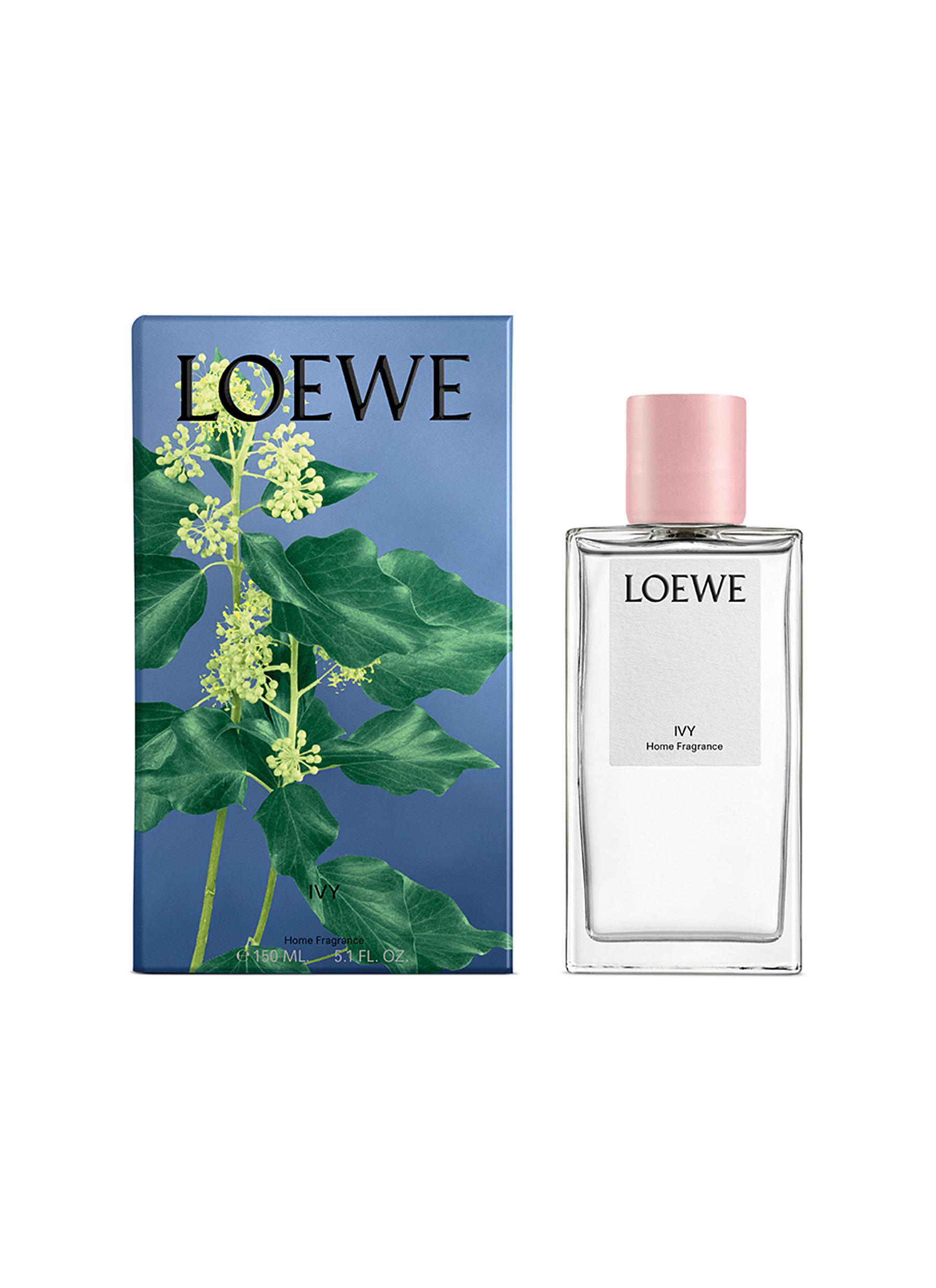loewe perfume