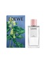 Main View - Click To Enlarge - LOEWE - Ivy Home Fragrance
