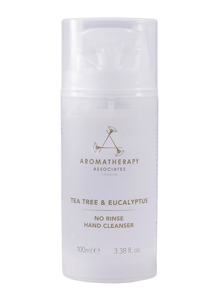 Main View - Click To Enlarge - AROMATHERAPY ASSOCIATES - Tea Tree and Eucalyptus No Rinse Hand Cleanser 100ml