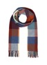 Main View - Click To Enlarge - HOLZWEILER - 'Dipper' check scarf