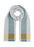 Main View - Click To Enlarge - JOHNSTONS OF ELGIN - Contrast Border Light Cashmere Stole