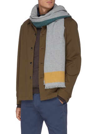 Figure View - Click To Enlarge - JOHNSTONS OF ELGIN - Contrast Border Light Cashmere Stole