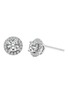 Main View - Click To Enlarge - GENTLE DIAMONDS - Cory' lab grown diamond 18k white gold stud earrings