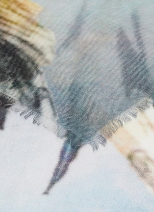 Detail View - Click To Enlarge - AMA PURE - 'Copricapo Stardust' Print Cashmere Scarf