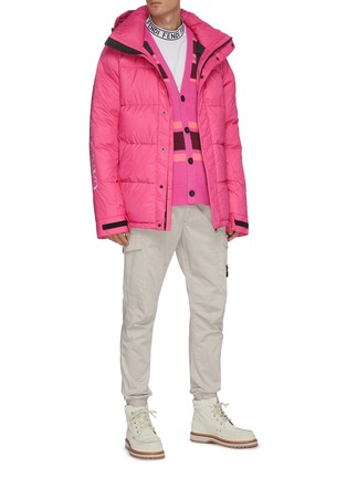 approach canada goose