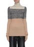 Main View - Click To Enlarge - PETAR PETROV - 'Nika' colourblock panel knit turtleneck top