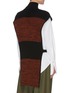 Back View - Click To Enlarge - PETAR PETROV - Nais' colourblock panel sleeveless turtleneck knit top