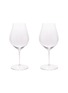 Main View - Click To Enlarge - RIEDEL - Performance Pinot Noir Glas Set of 2
