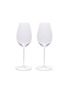 Main View - Click To Enlarge - RIEDEL - PERFORMANCE SAUVIGNON BLANC — SET OF 2