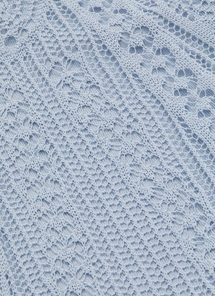 Detail View - Click To Enlarge - ALEXANDER MCQUEEN - Lace knit maxi skirt
