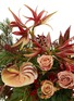 Detail View - Click To Enlarge - ELLERMANN FLOWER BOUTIQUE - x Lane Crawford Festive Joy