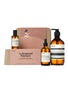 Main View - Click To Enlarge - AESOP - The Seasoned Wayfarer Hand Care and Home Kit