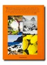 Detail View - Click To Enlarge - ASSOULINE - Capri Dolce Vita Book