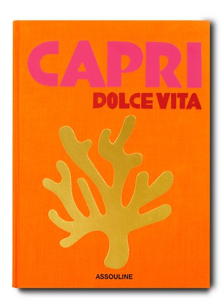 Main View - Click To Enlarge - ASSOULINE - Capri Dolce Vita Book