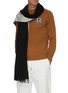 Figure View - Click To Enlarge - DREYDEN - Duo-tone Double Face Fringe Scarf