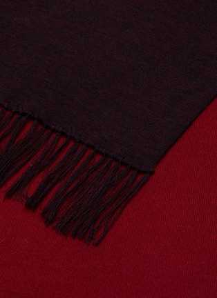 Detail View - Click To Enlarge - DREYDEN - Duo-tone Double Face Fringe Scarf