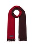 Main View - Click To Enlarge - DREYDEN - Duo-tone Double Face Fringe Scarf