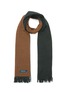 Main View - Click To Enlarge - DREYDEN - Duo-tone Double Face Fringe Scarf