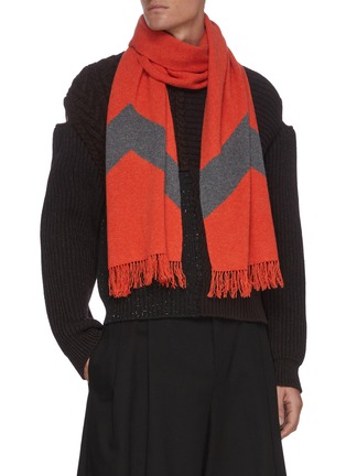 Figure View - Click To Enlarge - DREYDEN - Two Tone Fringe Scarf