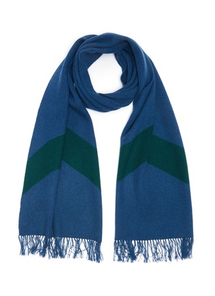 Main View - Click To Enlarge - DREYDEN - Contrast Stripe Fringe Scarf