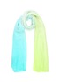 Main View - Click To Enlarge - FRANCO FERRARI - Rieti' ombré scarf
