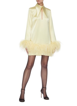 Figure View - Click To Enlarge - 16ARLINGTON - Michelle' ostrich feather dress