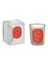 Main View - Click To Enlarge - DIPTYQUE - Limited edition Baies scented candle 190g