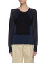 Main View - Click To Enlarge - CHLOÉ - Lace front panel openwork knit sleeve top