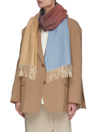 Figure View - Click To Enlarge - JOHNSTONS OF ELGIN - Ombré fringe cashmere scarf