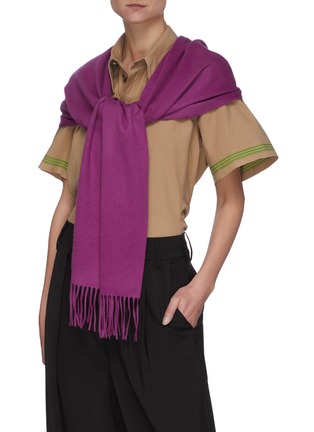 Figure View - Click To Enlarge - JOHNSTONS OF ELGIN - Fringe cashmere scarf