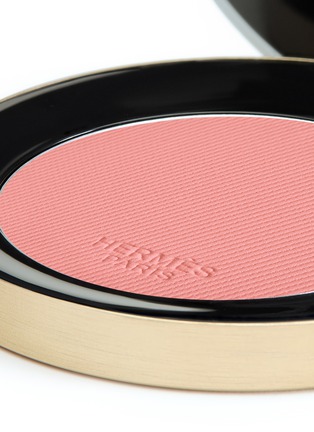 Detail View - Click To Enlarge - HERMÈS - Rose Hermès Silky blush powder – Rose Poivré