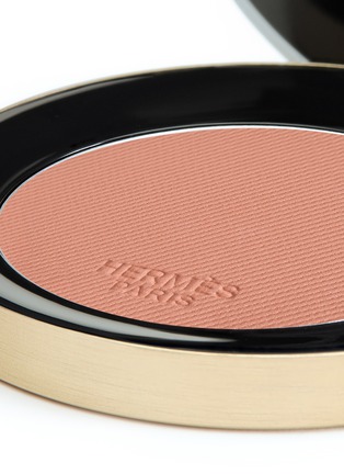 Detail View - Click To Enlarge - HERMÈS - Rose Hermès Silky blush powder – Rose Tan​