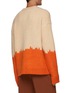 Back View - Click To Enlarge - NANUSHKA - MOCK NECK TWO TONE SWEATER