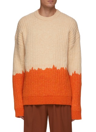 Main View - Click To Enlarge - NANUSHKA - MOCK NECK TWO TONE SWEATER