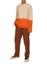 Figure View - Click To Enlarge - NANUSHKA - MOCK NECK TWO TONE SWEATER