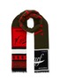 Main View - Click To Enlarge - ALEXANDER MCQUEEN - Sport Scarf