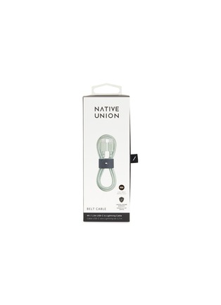 Main View - Click To Enlarge - NATIVE UNION - USB-C to Lightning Belt Cable – Sage