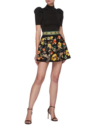 Figure View - Click To Enlarge - ALICE & OLIVIA - Fizer' Jacquard Waistband Floral Embroidered Mini Skirt