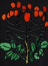  - LOEWE - Herbarium Anagram Embroidery Drawstring Hoodie