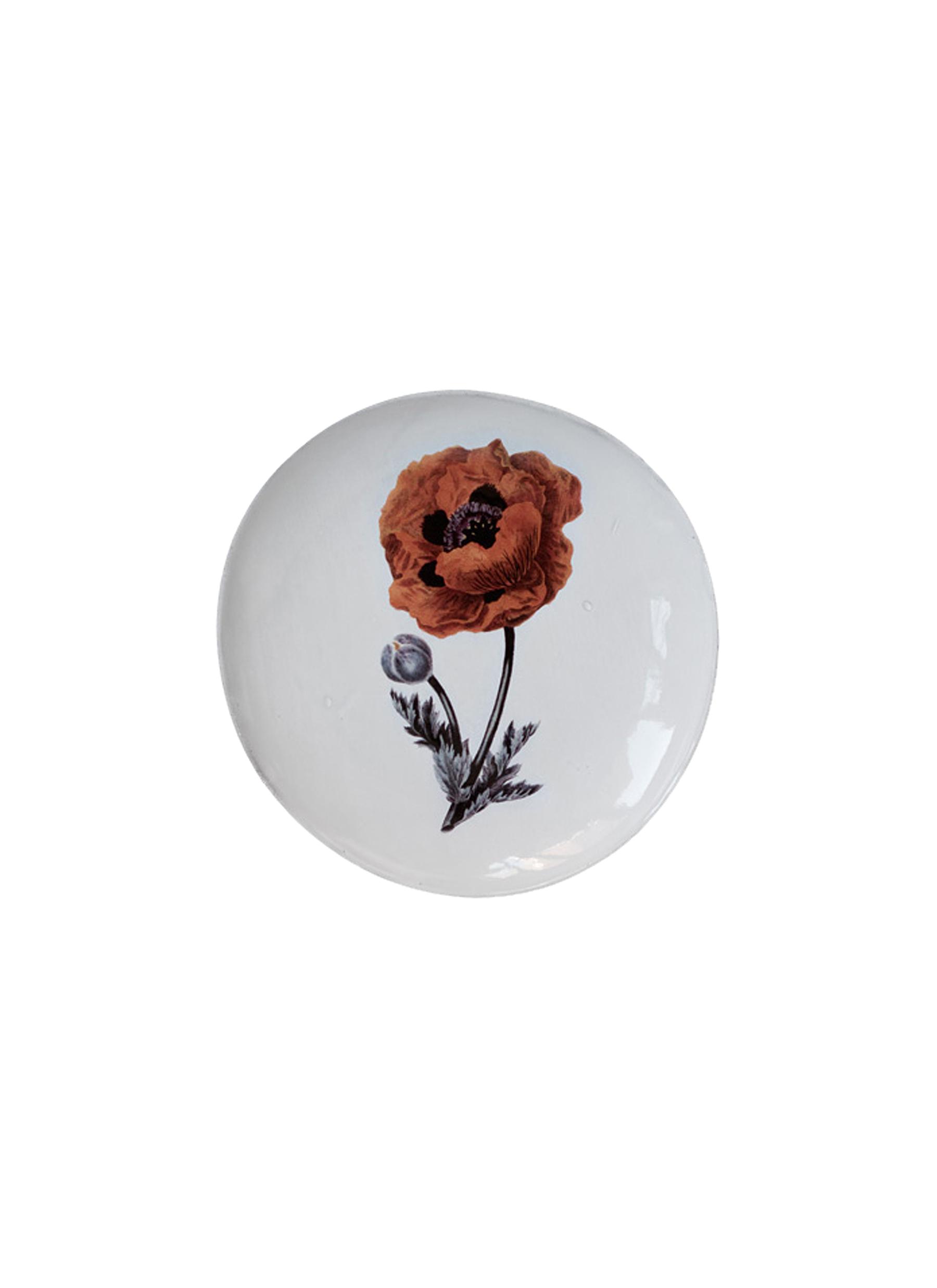 ASTIER DE VILLATTE | x John Derian Orange Flower Graphic Dinner Plate |  Lane Crawford - Shop Designer Brands Online